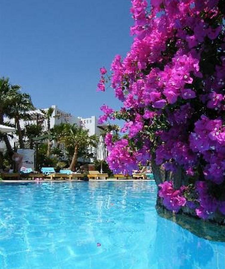 Delta Sharm Holiday Dış mekan fotoğraf